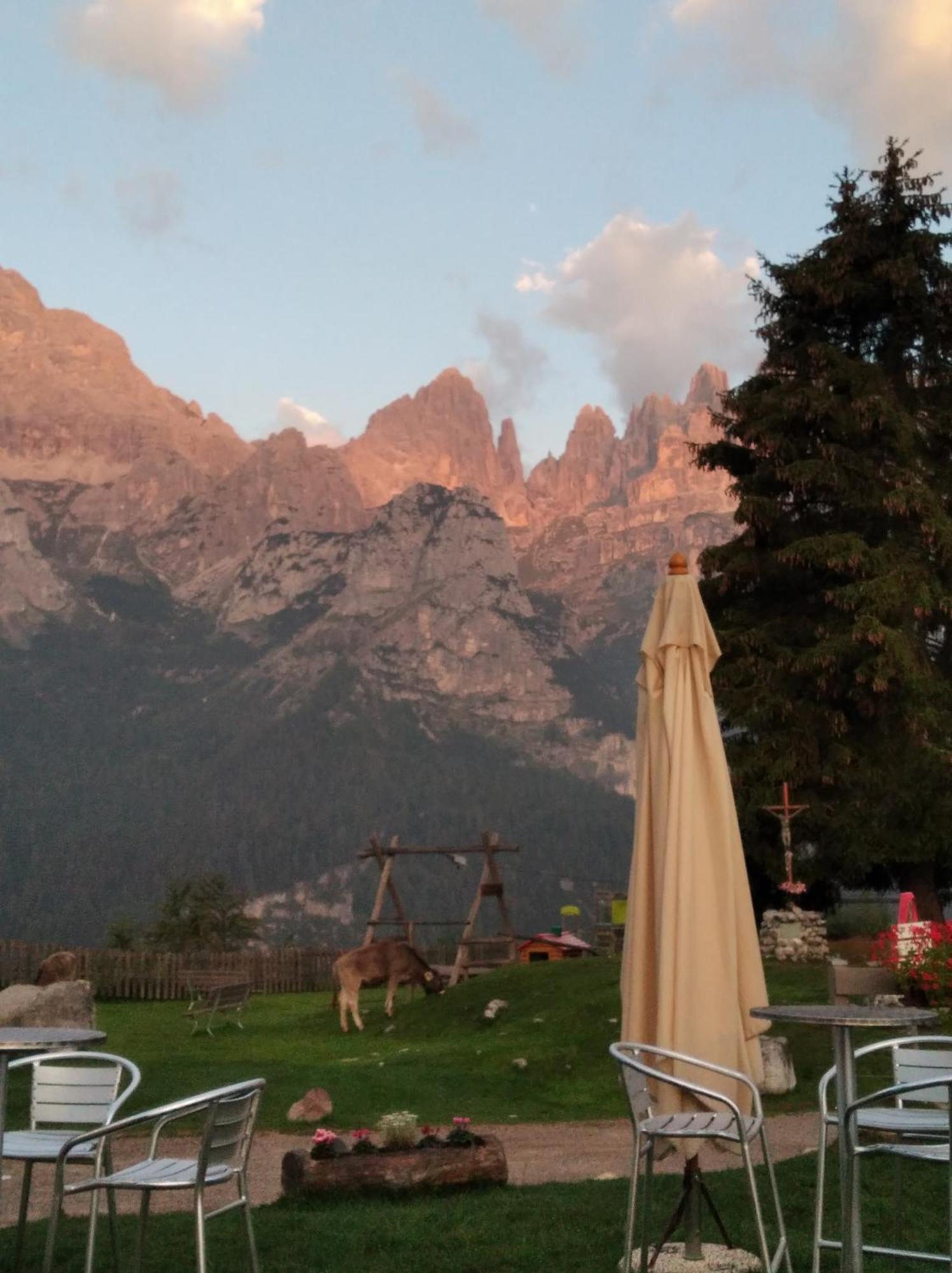 Rifugio La Montanara Vila Molveno Exterior foto